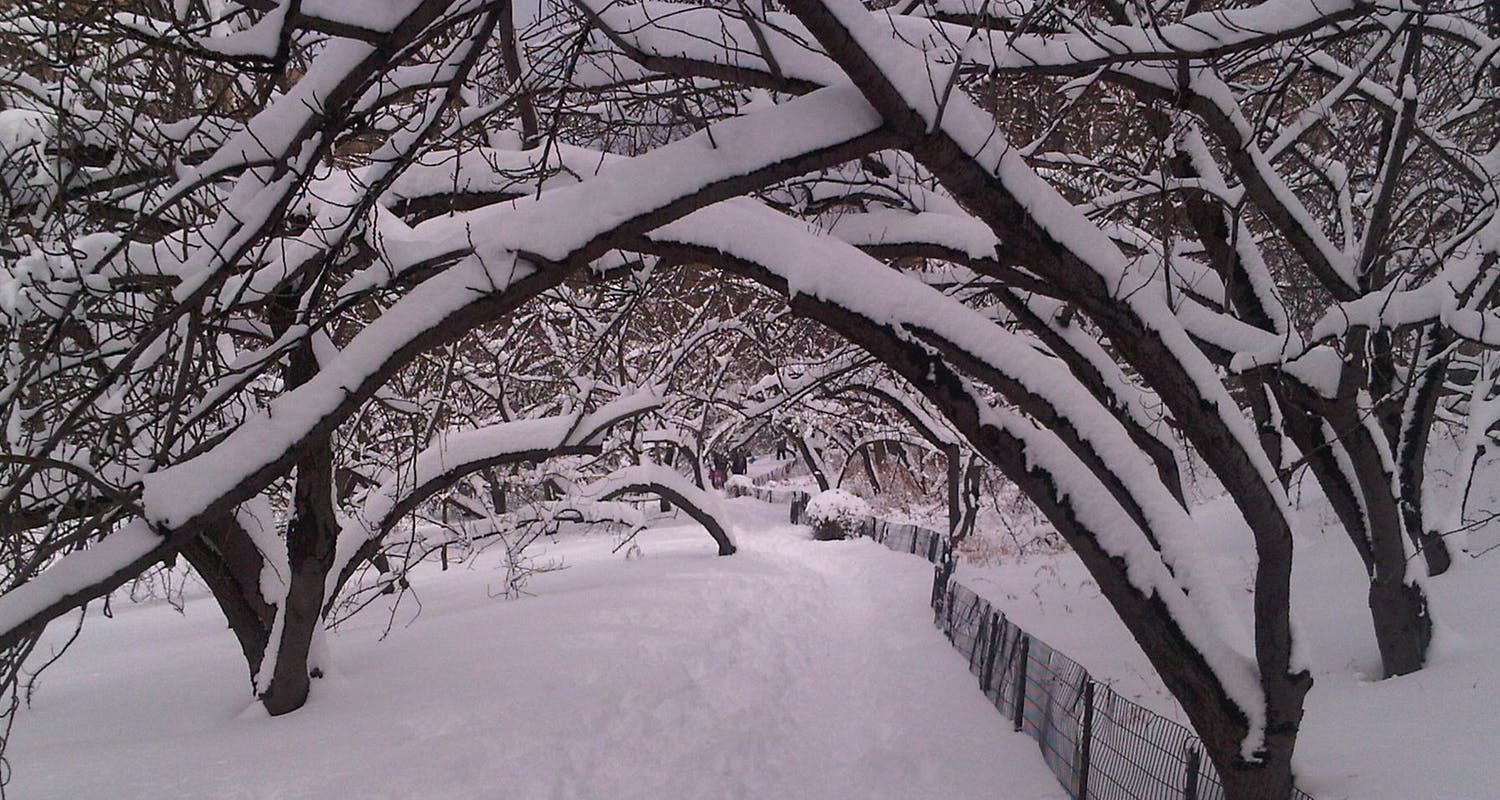 Australian Physio / Therapy Experts - Central Park - Winter